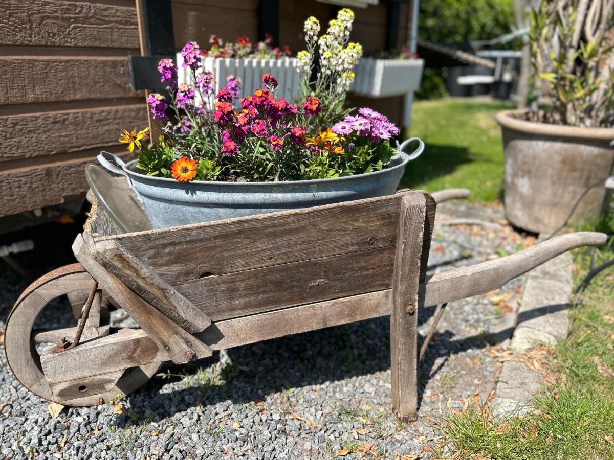 Piccobello Bed & Breakfast Valloby Koge Exteriör bild